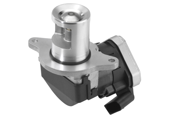 Wahler EGR-klep 710023D