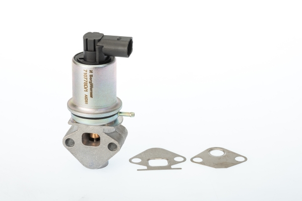 EGR-klep Wahler 710778D