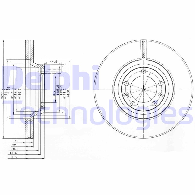 Remschijven Delphi Diesel BG2199