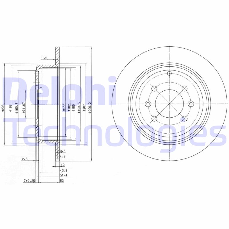 Remschijven Delphi Diesel BG2873