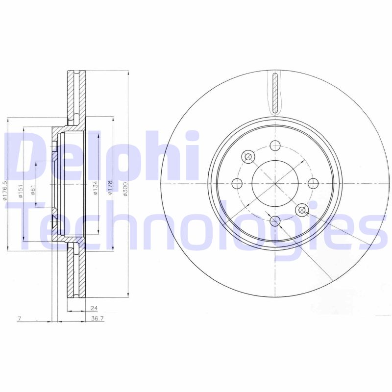 Remschijven Delphi Diesel BG3929