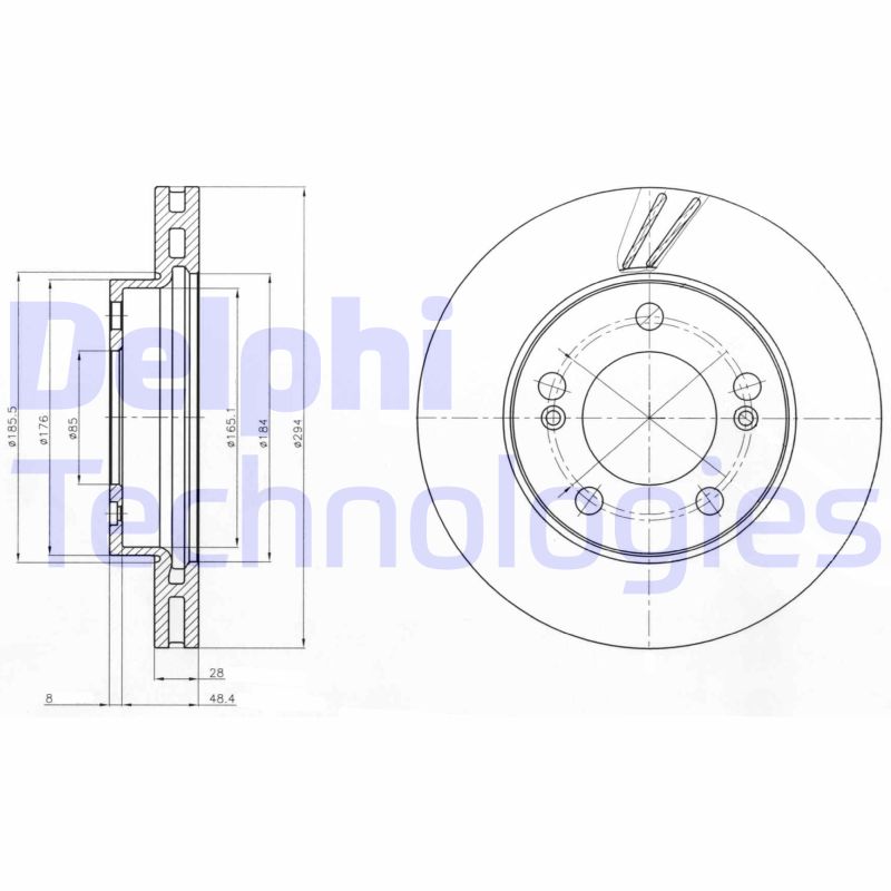 Remschijven Delphi Diesel BG4206