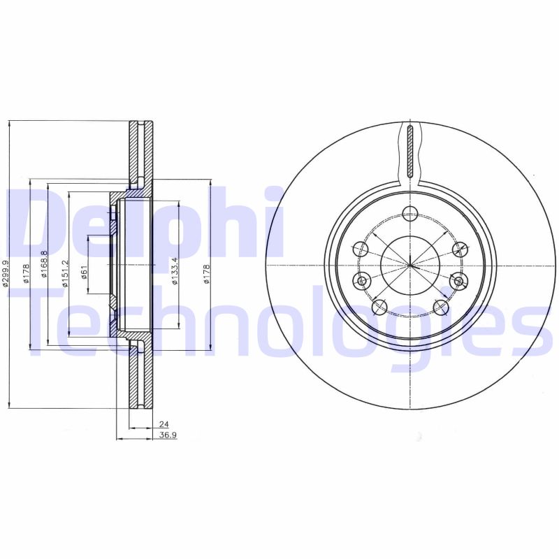 Remschijven Delphi Diesel BG4338C