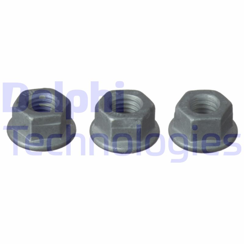 Delphi Diesel Veerpootlager & rubber BSJ10052