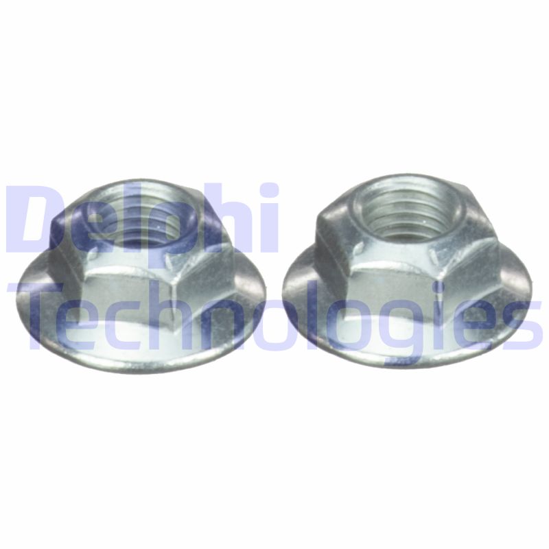 Delphi Diesel Veerpootlager & rubber BSJ10060