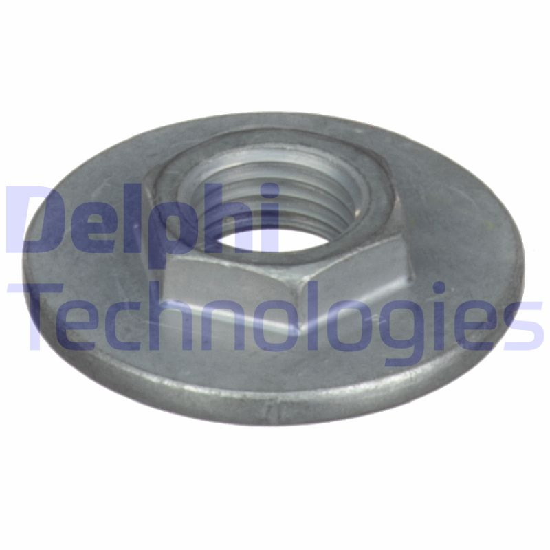 Delphi Diesel Veerpootlager & rubber BSJ10061