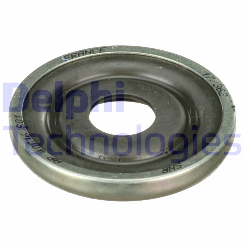 Delphi Diesel Veerpootlager & rubber BSJ10073