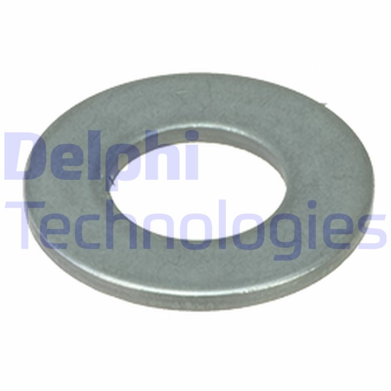 Delphi Diesel Veerpootlager & rubber BSJ10112