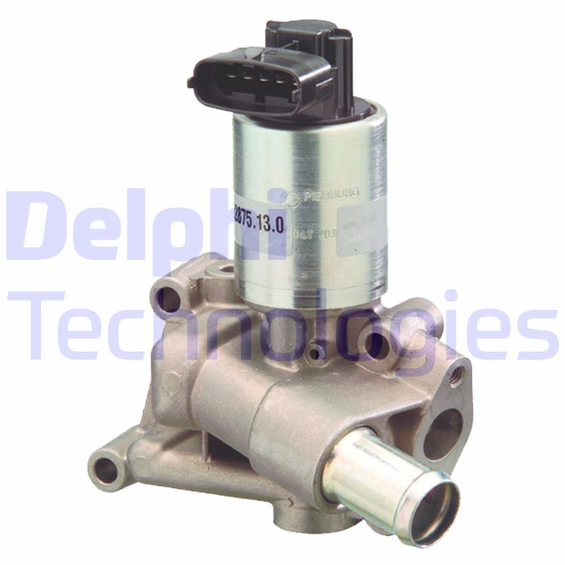 EGR-klep Delphi Diesel EG10300-12B1