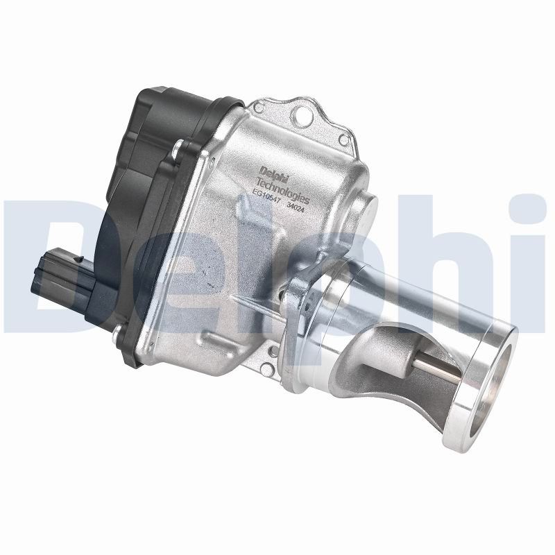 EGR-klep Delphi Diesel EG10547-12B1