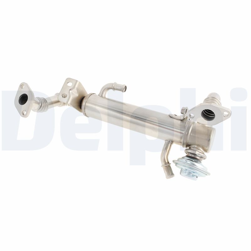 EGR-klep Delphi Diesel EG10582-12B1