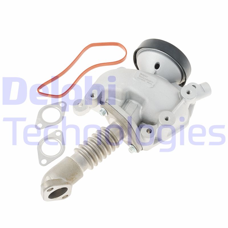 EGR-klep Delphi Diesel EG10619-12B1