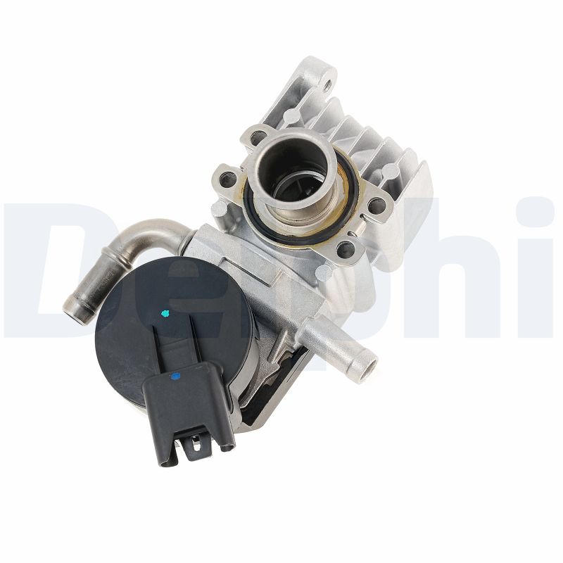 Delphi Diesel EGR-klep EG10643-12B1