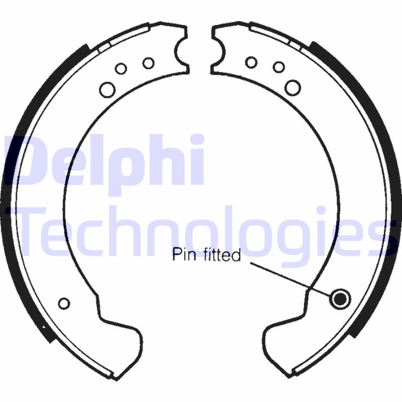 Remschoen set Delphi Diesel LS1089