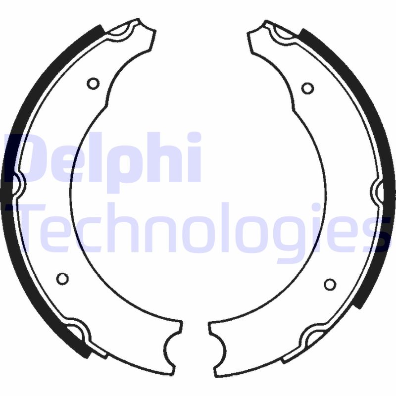 Remschoen set Delphi Diesel LS1103