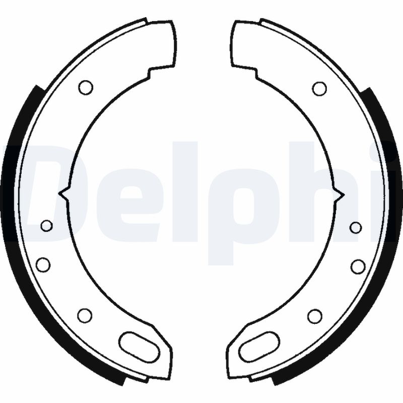 Remschoenset, parkeerrem Delphi Diesel LS1169
