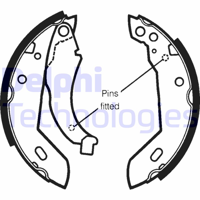 Remschoen set Delphi Diesel LS1250