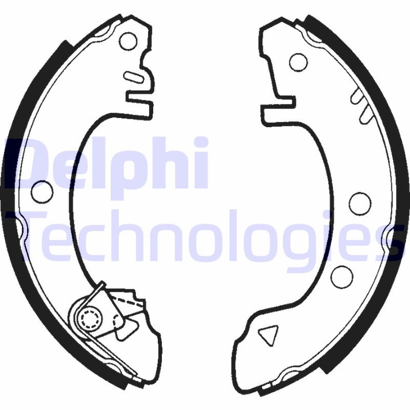 Remschoen set Delphi Diesel LS1267