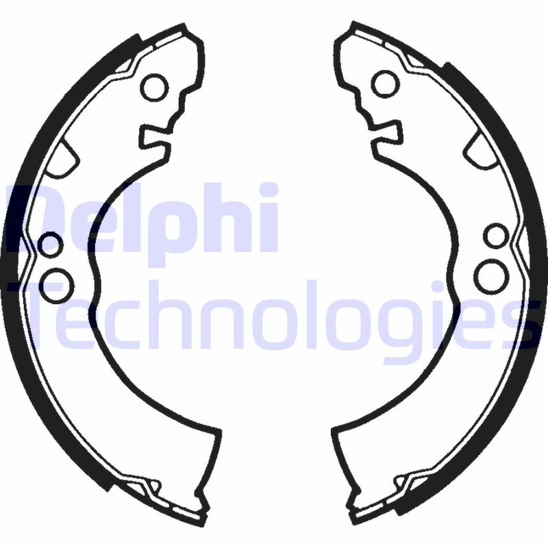 Remschoen set Delphi Diesel LS1289