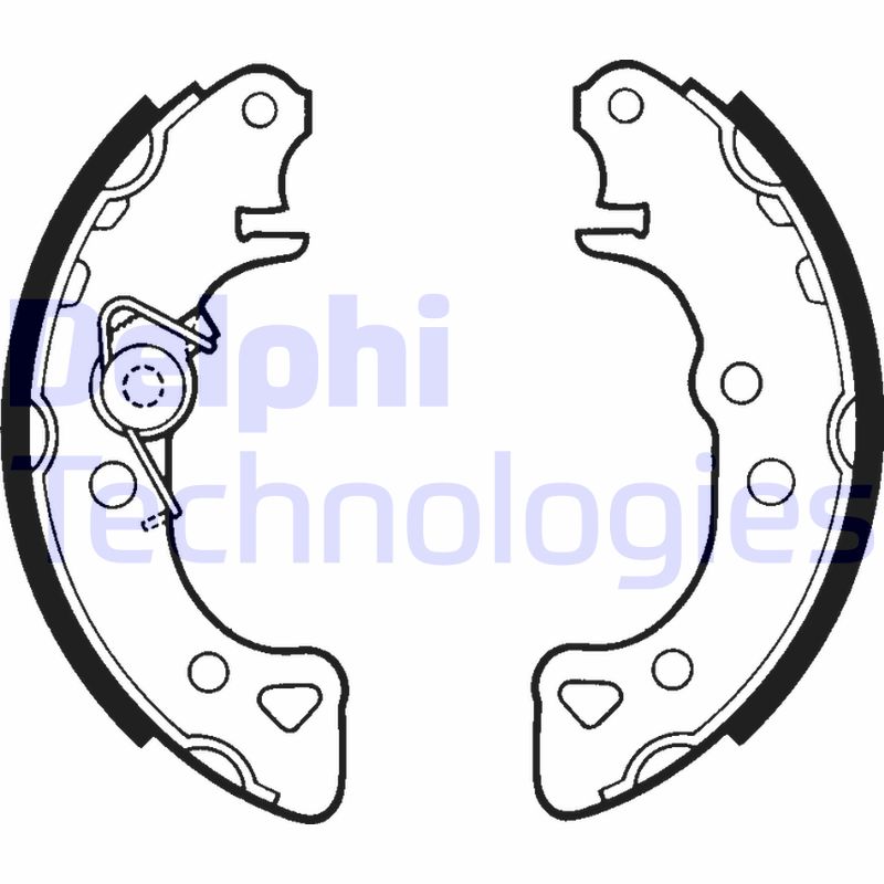 Remschoen set Delphi Diesel LS1319