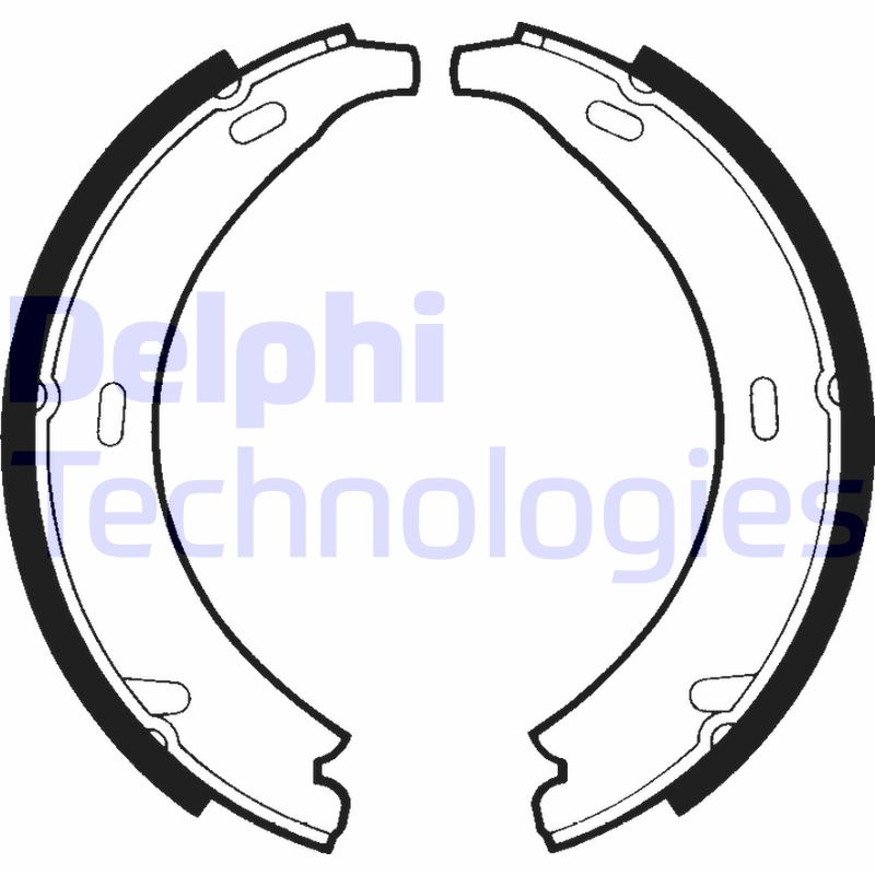 Remschoen set Delphi Diesel LS1371