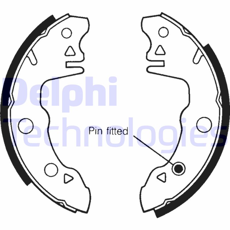 Remschoen set Delphi Diesel LS1394