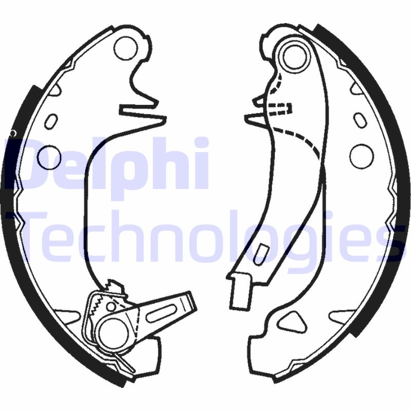 Remschoen set Delphi Diesel LS1441