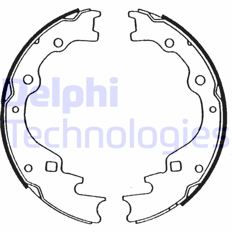 Remschoen set Delphi Diesel LS1476