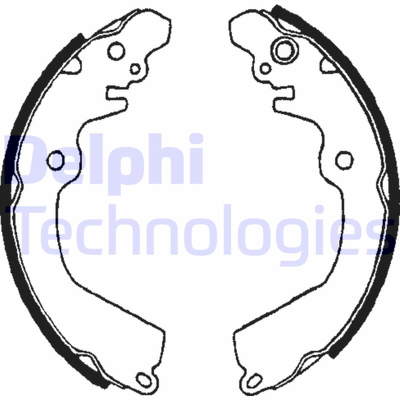 Remschoen set Delphi Diesel LS1643