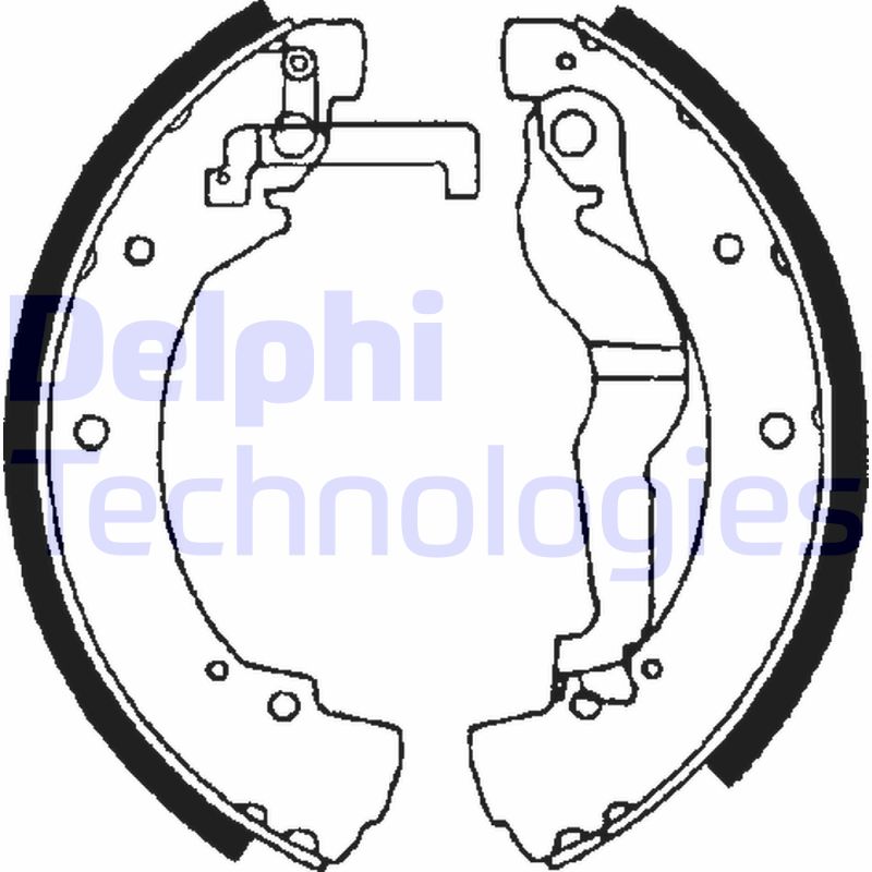 Remschoen set Delphi Diesel LS1656