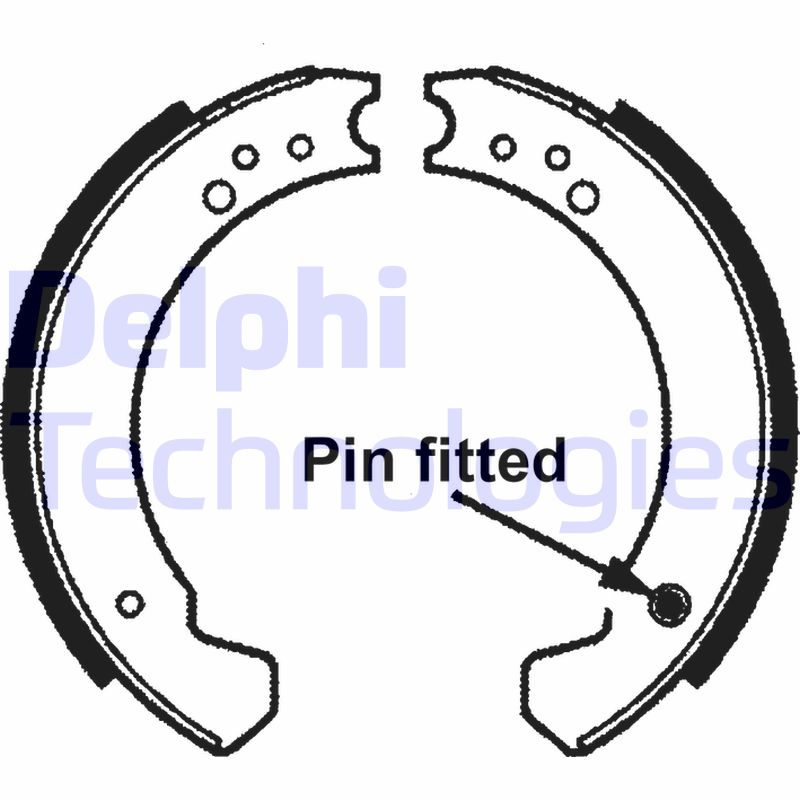 Remschoen set Delphi Diesel LS1695