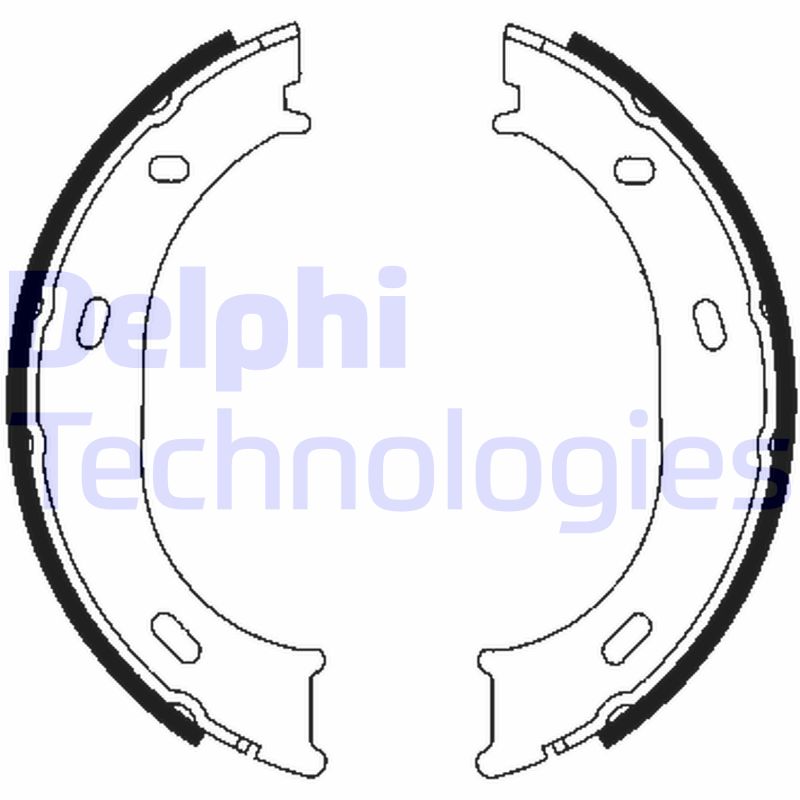 Remschoen set Delphi Diesel LS1905