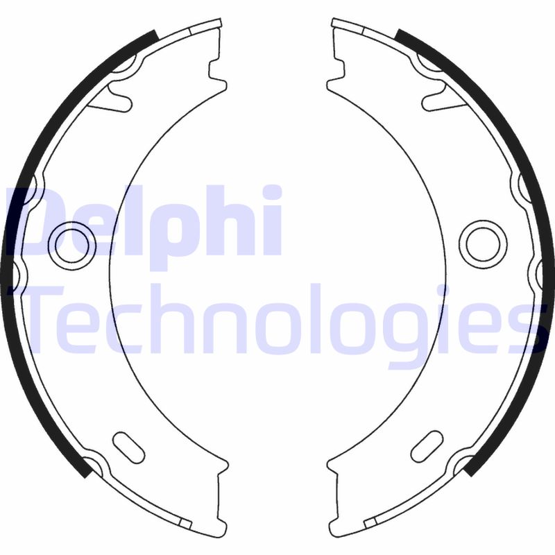 Remschoen set Delphi Diesel LS1917