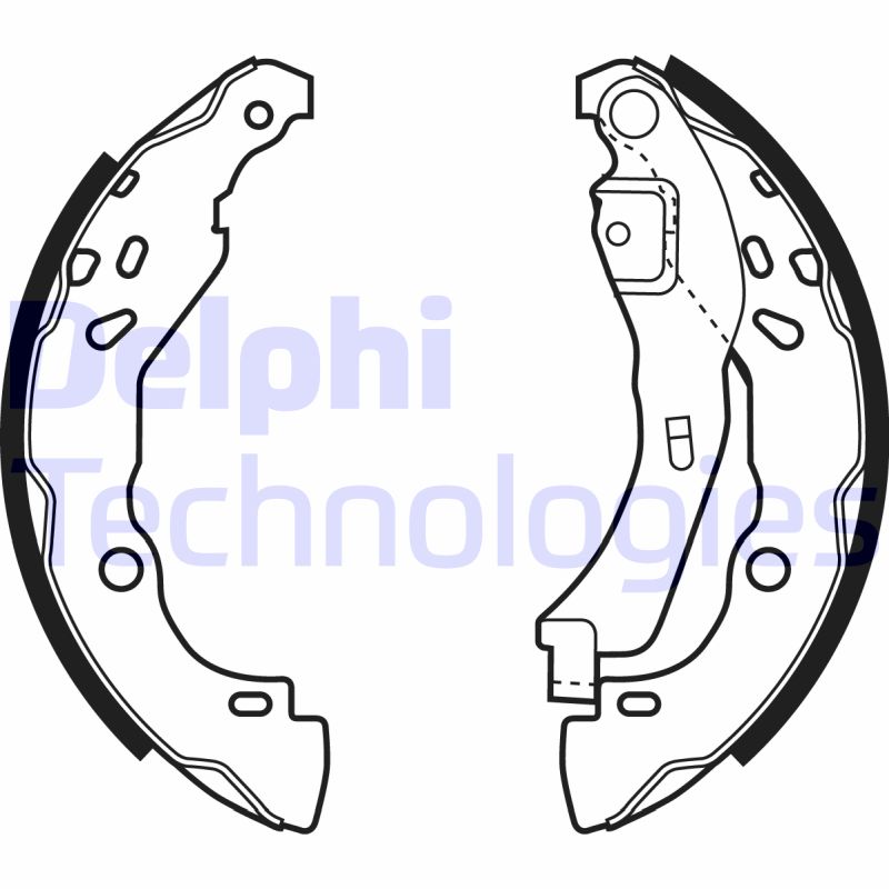 Remschoen set Delphi Diesel LS1929