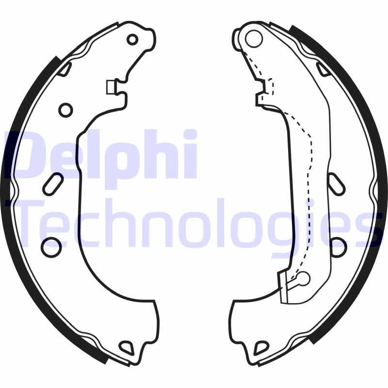 Remschoen set Delphi Diesel LS1940