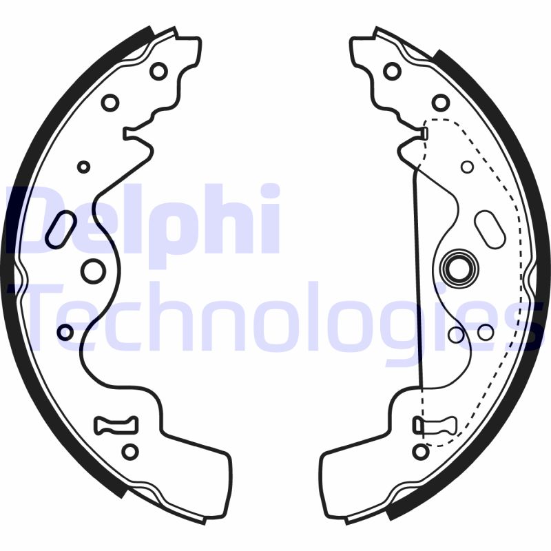 Remschoen set Delphi Diesel LS1941