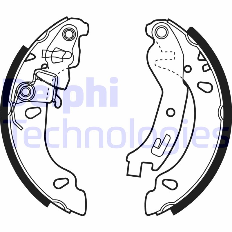 Remschoen set Delphi Diesel LS1970