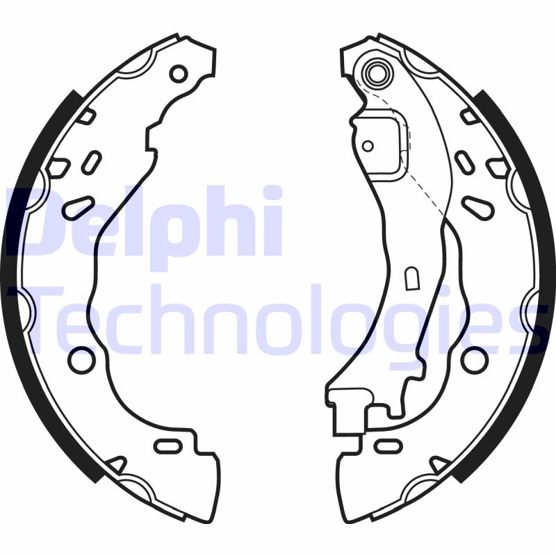 Remschoen set Delphi Diesel LS1975