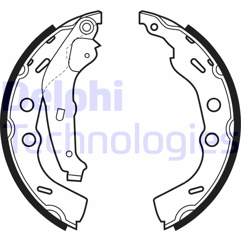 Remschoen set Delphi Diesel LS1993