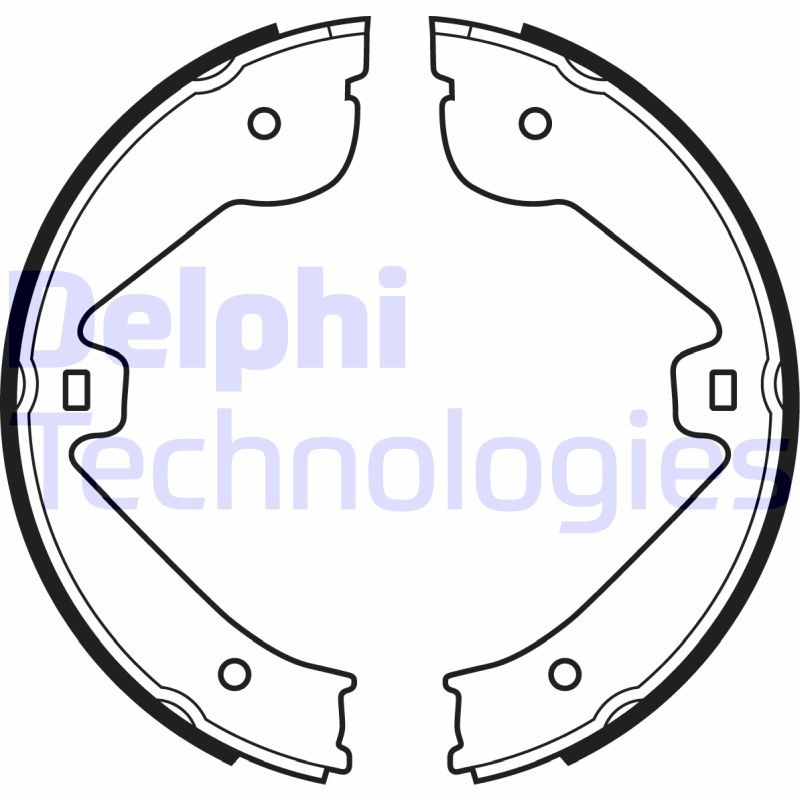 Remschoen set Delphi Diesel LS1995