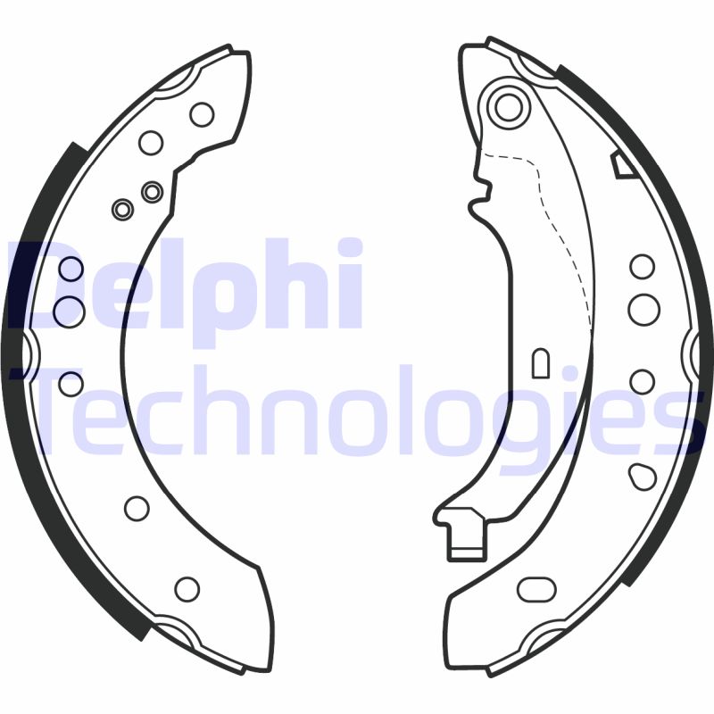 Remschoen set Delphi Diesel LS2002