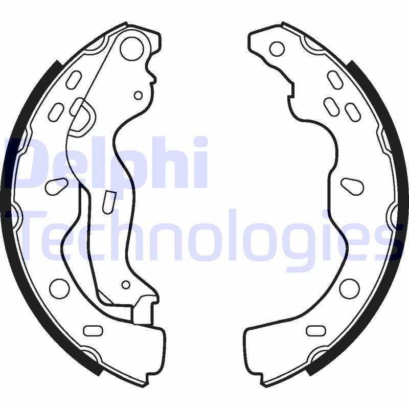 Remschoen set Delphi Diesel LS2009