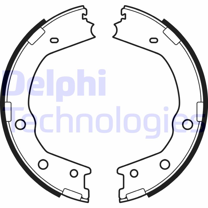 Remschoen set Delphi Diesel LS2067