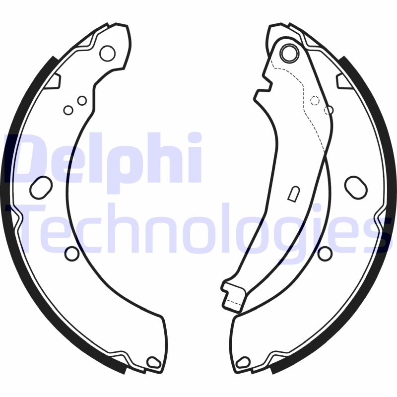 Remschoen set Delphi Diesel LS2136