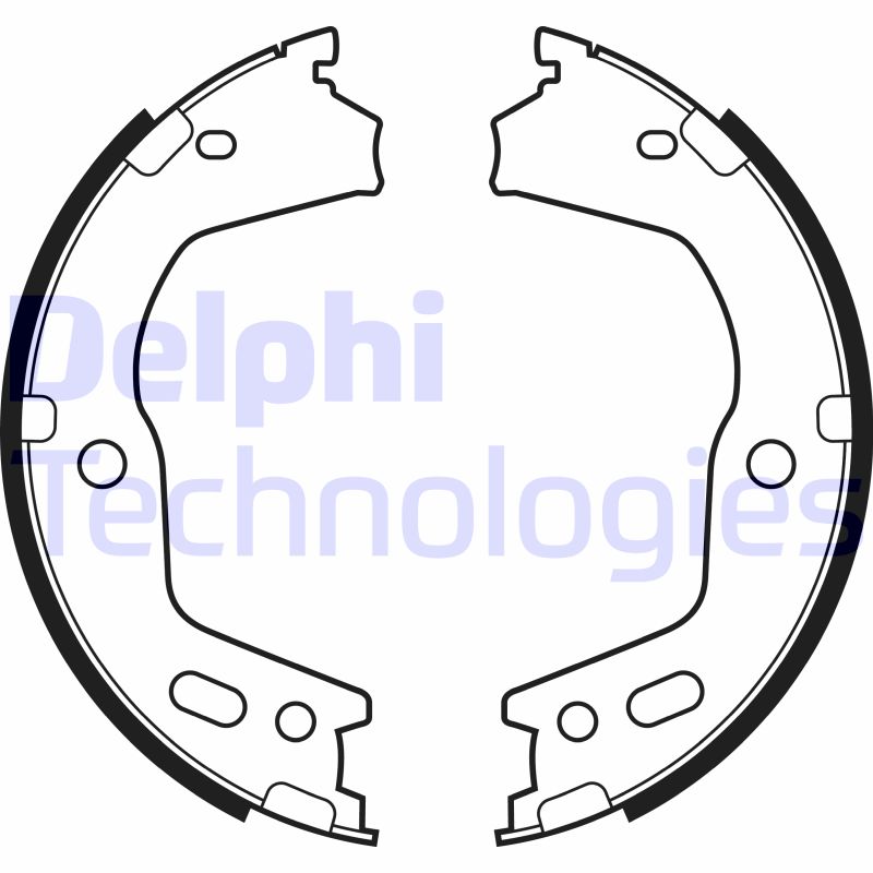 Remschoen set Delphi Diesel LS2154