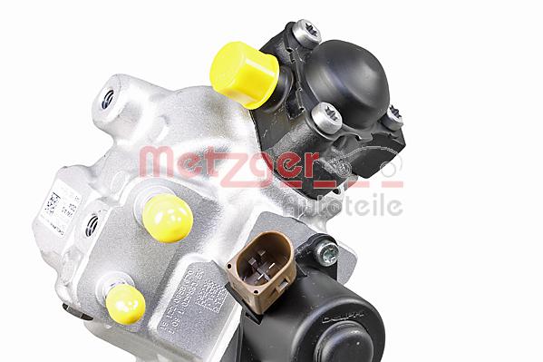 Metzger Brandstof inspuitpomp 0830118