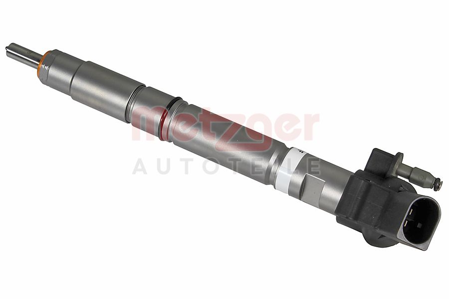 Verstuiverneus Metzger 0870262