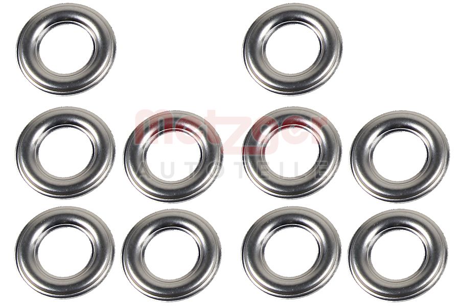 Brandplaatjes, injectiesysteem Metzger 0873082