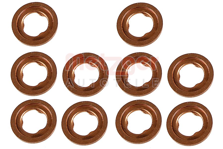 Brandplaatjes, injectiesysteem Metzger 0873085