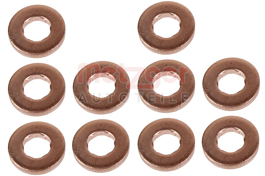 Brandplaatjes, injectiesysteem Metzger 0873100